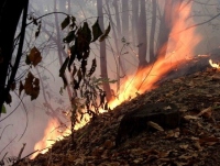 ArticleImage